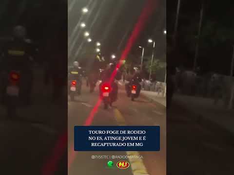 TOURO FOGE DE RODEIO NO ES, ATINGE JOVEM E É RECAPTURADO EM MG