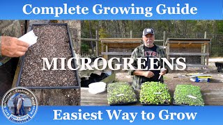 How to Grow Mircogreens from Seed to Harvest | Complete Growing Guide