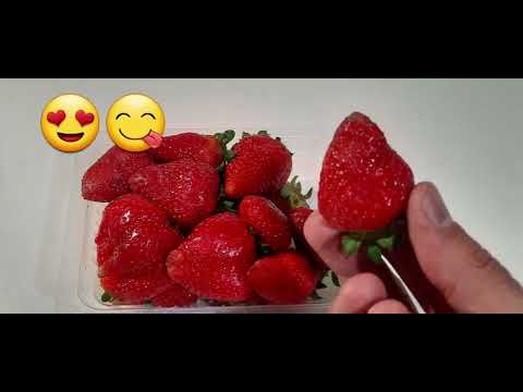 Strawberries 🍓 & Chocolate 🍫 😋 😍 💯