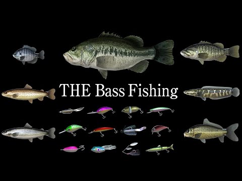 THE Bass Fishing | Trailer (Nintendo Switch) thumbnail