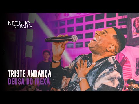 Triste Andança - Netinho de Paula