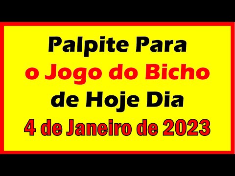 PALPITE DO JOGO DO BICHO PARA HOJE DIA 4 DE JANEIRO DE 2023 | SONHAR COM GATO