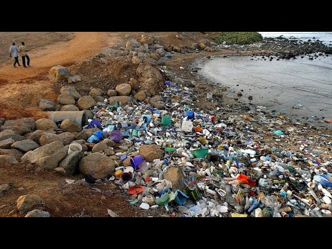 Erklärvideo: Warum Plastik gefährlich für die Umwelt ist