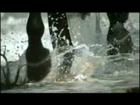 Prix d'Amerique 2009