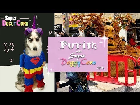 Purim with Super DoggyCorn | Israel - Afula  2018