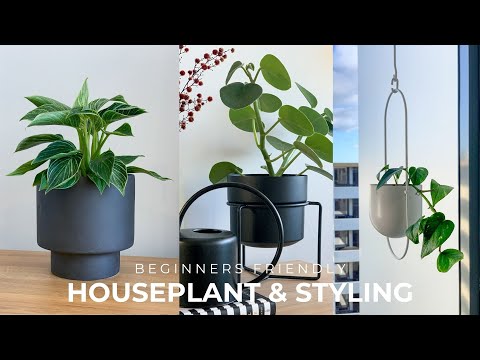 Beginners Houseplant Tour + Styling Tips (Decorate With Indoor Plants 🌱)