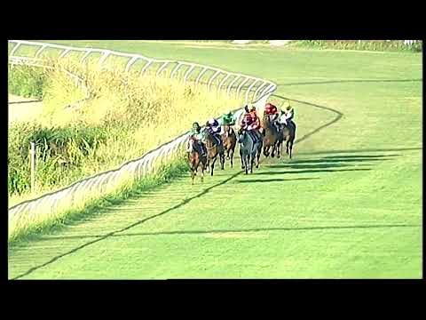 Napoli Galoppo 10/06/2022 - 5ª corsa