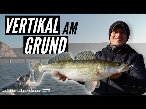 Vertical fishing: How to catch more zander in winter / with this technique