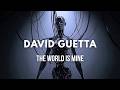 David Guetta - The World is Mine (Remix From The Earth) | Official Visualizer