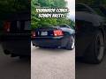 Terminator Cobra SVT Gorgeous But NASTY Ford Mustang Terminator Cobra Fordmustang Car