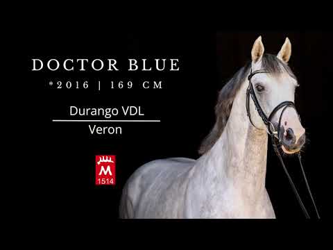 Doctor Blue *2016 v. Durango VDL - Veron