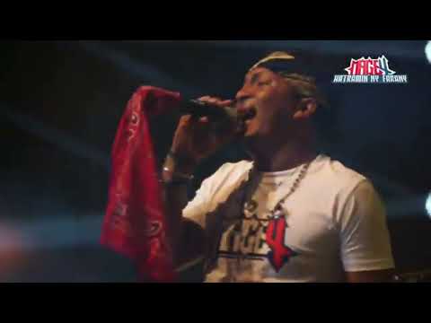 COME BACK AGAIN - MAGE 4 (Live Palais des Sports 2024)