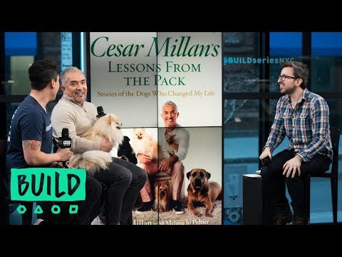 Cesar And Andre Millan Discuss Their Show, "Dog Nation" And The Book, "Cesar Millan's Lessons From T