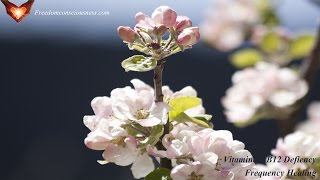 Vitamin B12 Deficiency Frequency Healing - Treat Vitamin B12 Deficiency Effectively