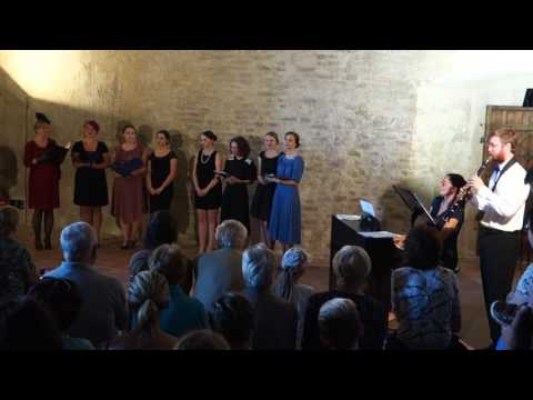 07 Ježkova kavárna - Nikdy nic nikdo nemá