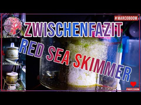 Zwischenfazit Red Sea Skimmer | Red Sea Reefer XL 425 | #Marcoboom