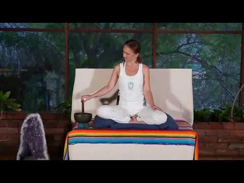 Live Hridaya Meditation Practice
