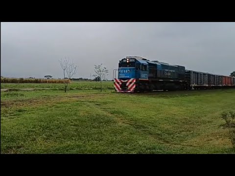 Tren 5004/9735 en Bella Vista. Tucumán 🚂💪