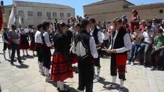 preview picture of video 'Paloteo de La Matilla, Segovia. En Honor a San Roque, 16 de Agosto 2014.'