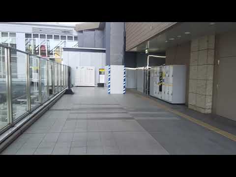 大阪駅にて関西を拠点にしてる人気YouTube西園寺(池田)さんがオープニングしてるところの広場に行ってきた