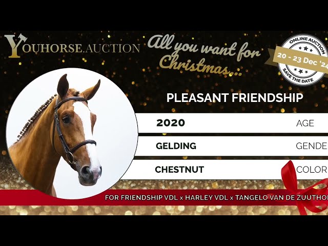 Pleasant friendship Trainingsvideo