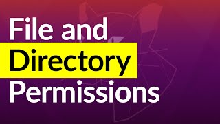 Linux File Permissions Commands with Examples