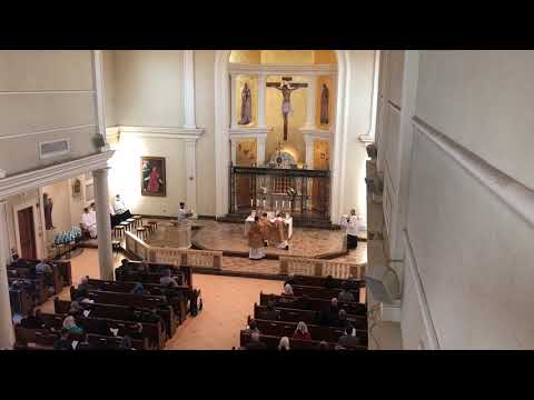 Victoria - Trahe me post te