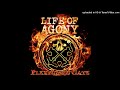 Life Of Agony - Plexiglass Gate (from "River Runs Red" pre-production 1992)