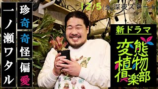 [情報] 悠木碧：來吧，從今天起你也是變態的同伴