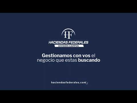 Campo de monte con potencial ganadero en Taco Pozo, Chaco