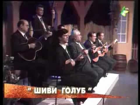 ŠIVI HOLUB -- Tatjana KOLJESAR GVOJIĆ