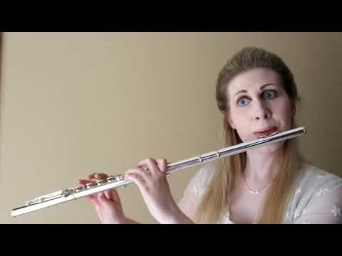 J. Andersen: 24 Exercises for the Flute, Op. 30 No 12