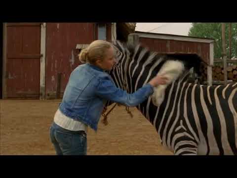 Deu Zebra (2005) Dublado