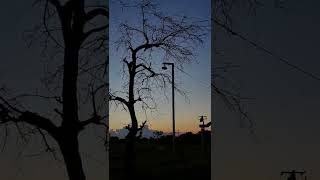 Download lagu Agheeboo mp3 Download lagu Agheeboo mp3