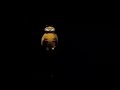 Garfield Mp4