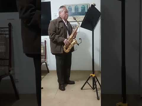 Cover con sax la cita