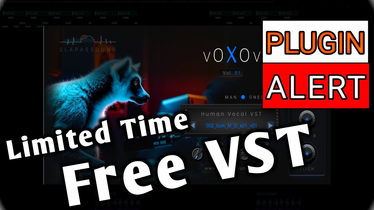 Video 16d68973-1ada-40f8-9b28-1ae4d2aa5b1b