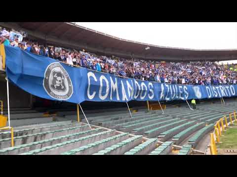 "Comandos Azules y Blue Rain - MURGA EMBAJADORA" Barra: Comandos Azules • Club: Millonarios