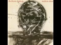 The Dream Syndicate - Armed With An Empty Gun (live)
