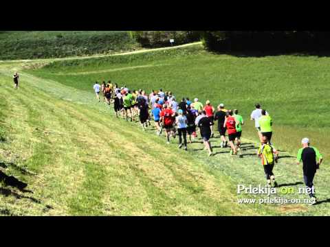 Start glavnega Blaguškega teka 2015