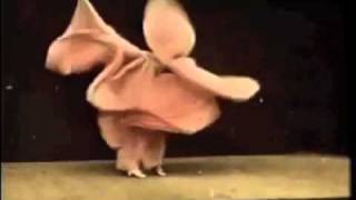 RICKY EAT ACID // BLINDED