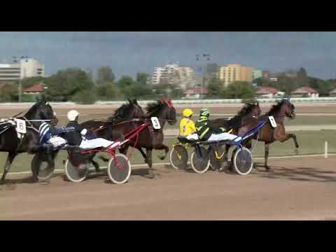 2018.09.29. 01. futam - BABY YANKEE DÍJ