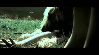 Novastar - Because - Making of the videoclip