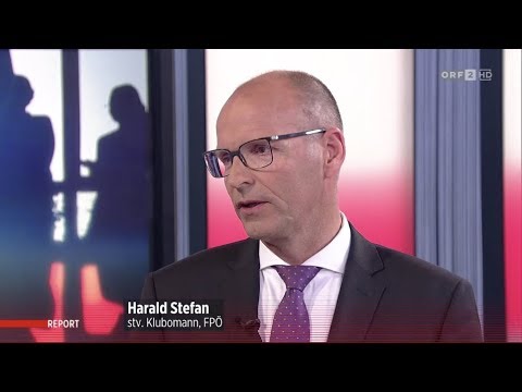 Harald Stefan - Direkte Demokratie (ORF-Report) - 21.11.2017