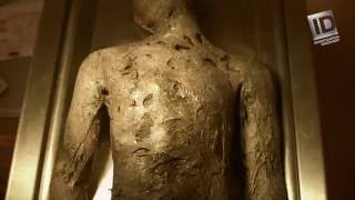 Skin Deep - Snippet Can't Burn Identity