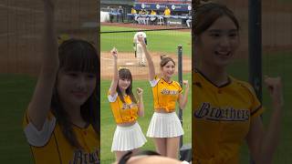 【Passion Sisters】練習生# 維尼 #莎莎#Out！水啦！#台湾チアリーディングチーム#中華職棒#CPBL#樂天桃園球場#20241110（12強熱身賽）