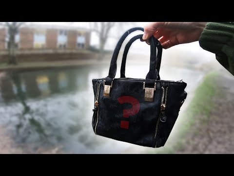 I found a mysterious bag at the canal (live animals inside)