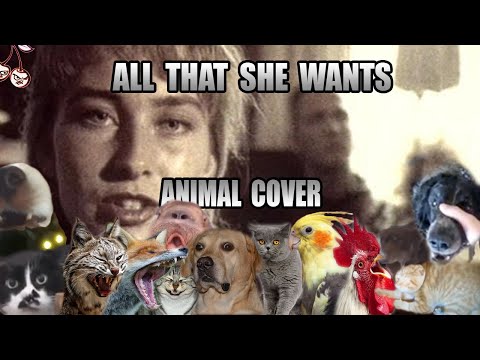 Ace Of Base - All That She Wants (Animal Cover)