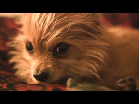 Blackmagic BMPCC & RAW + Metabones speedbooster- Nikon 50mm/f0.7  ASA-800 HDR FIRST TEST SHOT