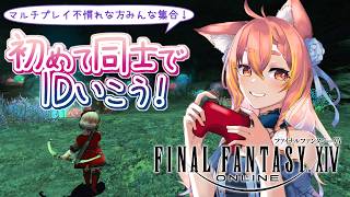 【FF14】初心者さんみんなでID潜ろう！【#鈴音舞夢 / 視聴者参加型】